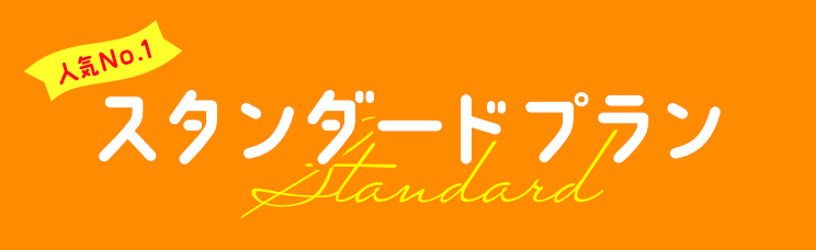 スタンダードプラン
