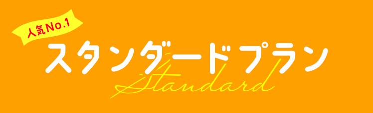 スタンダードプラン
